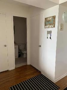 1 Bedroom Apartment - Photo 4