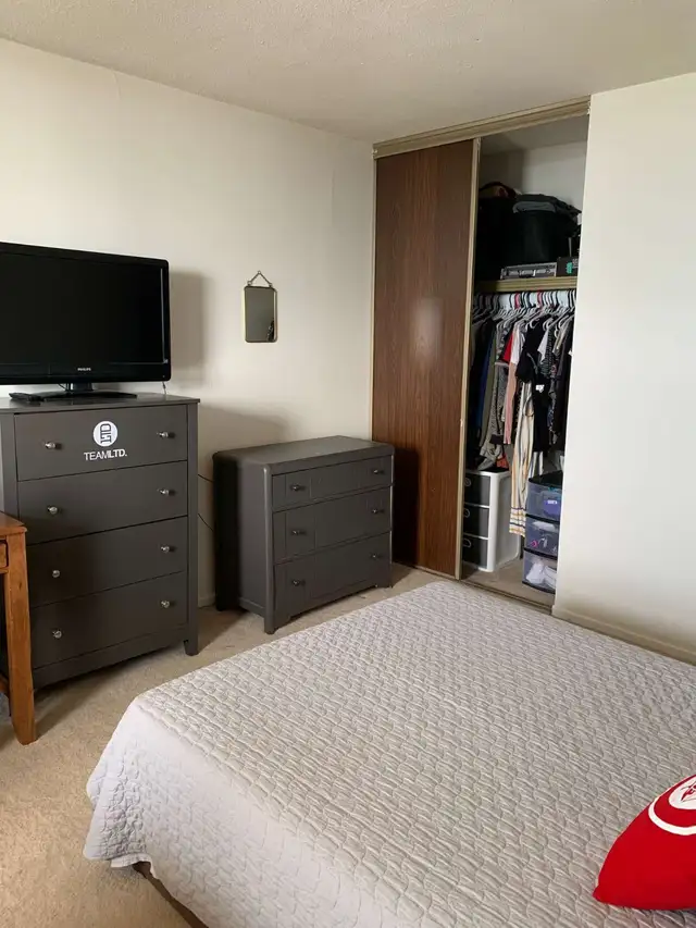 1 Bedroom Apartment - Photo 6