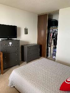 1 Bedroom Apartment - Photo 6
