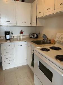 1 Bedroom Apartment - Photo 7