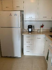 1 Bedroom Apartment - Photo 8