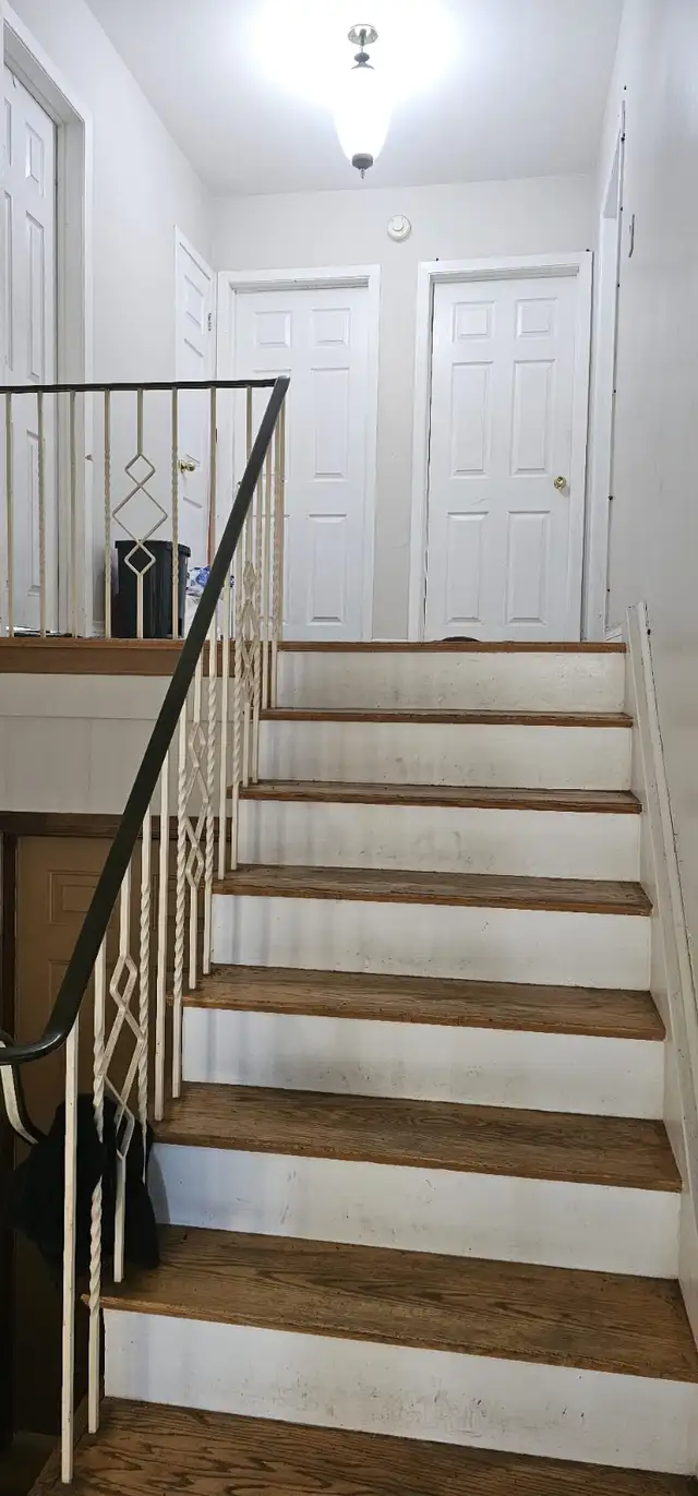 Room for rent near humber college - Photo 10