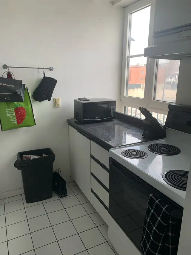 Downtown Metro Papineau luxury 550 sf studio with appliances - Photo 5