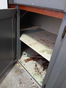 House cleaning and junk removal - Photo 4