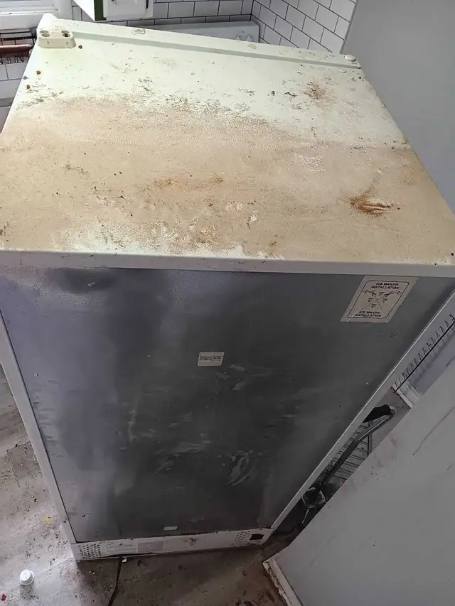 House cleaning and junk removal - Photo 5