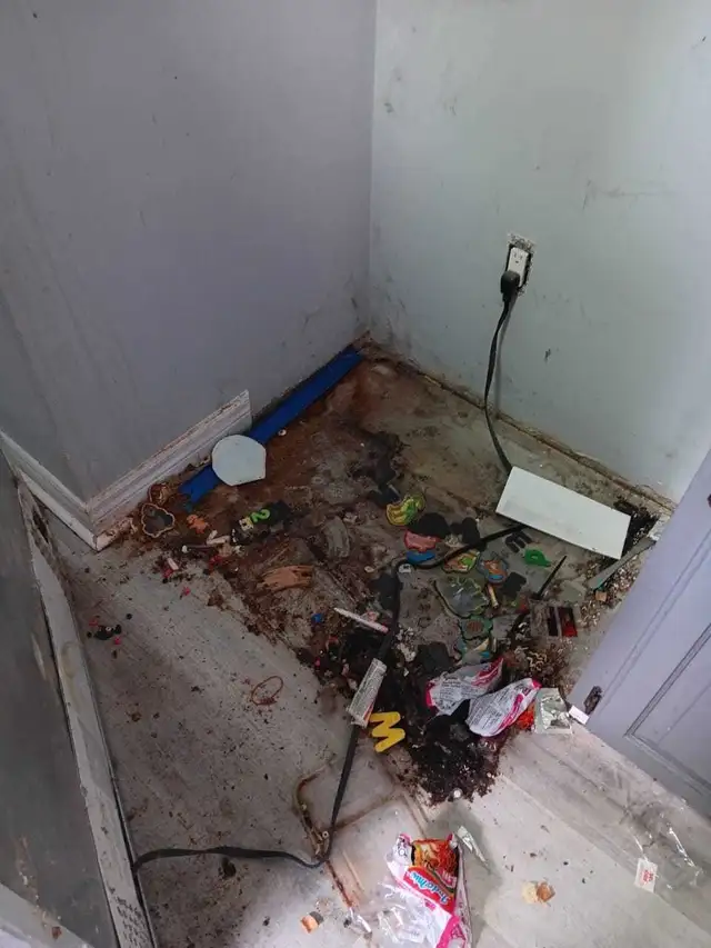 House cleaning and junk removal - Photo 6