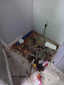 House cleaning and junk removal - Photo 6