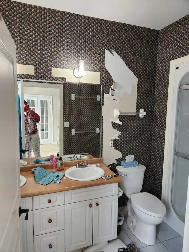 professional painter