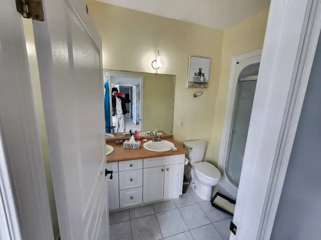 professional painter - Photo 2