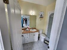 professional painter - Photo 2