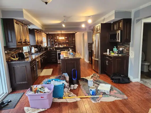 professional painter - Photo 5