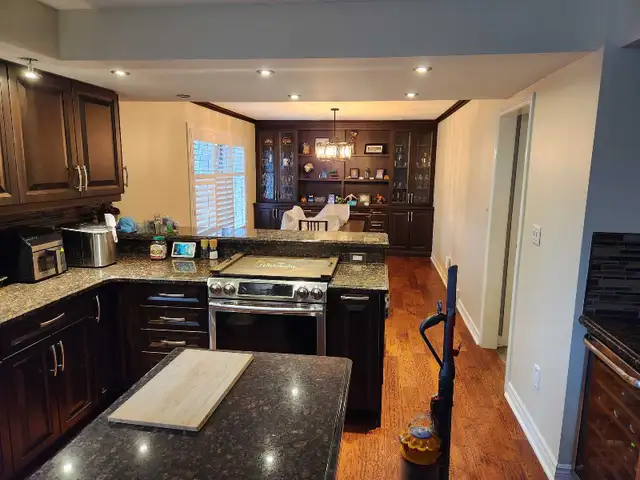 professional painter - Photo 6