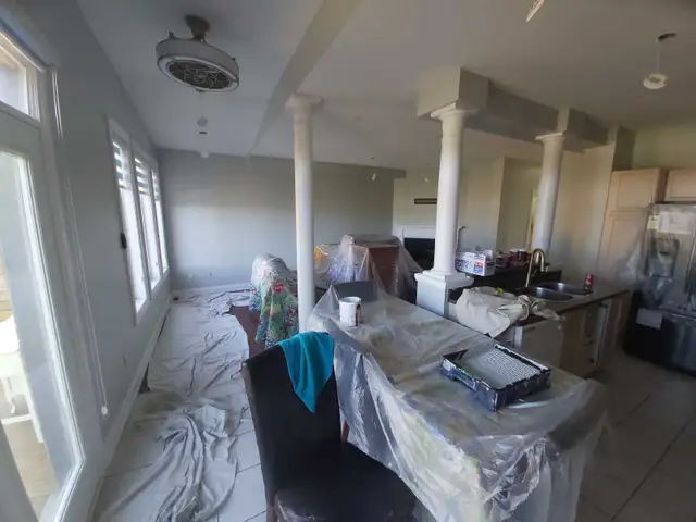 professional painter - Photo 9