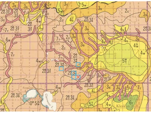 #26FK - 591± Combined Acres (4 Parcels Selling Separate) - Photo 4