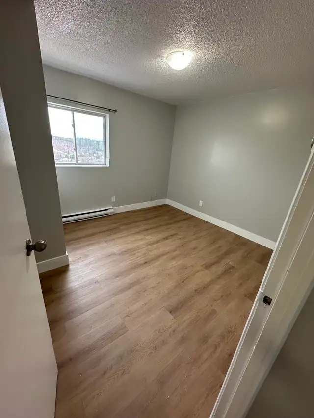 3 Bedroom Apartment Available Now in Minnow Lake Area - Photo 6
