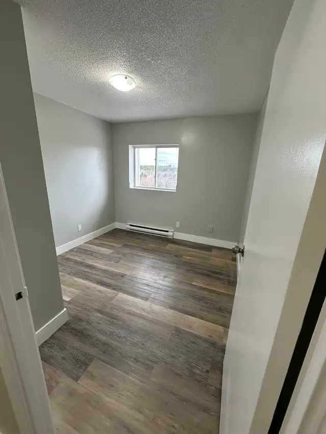 3 Bedroom Apartment Available Now in Minnow Lake Area - Photo 7