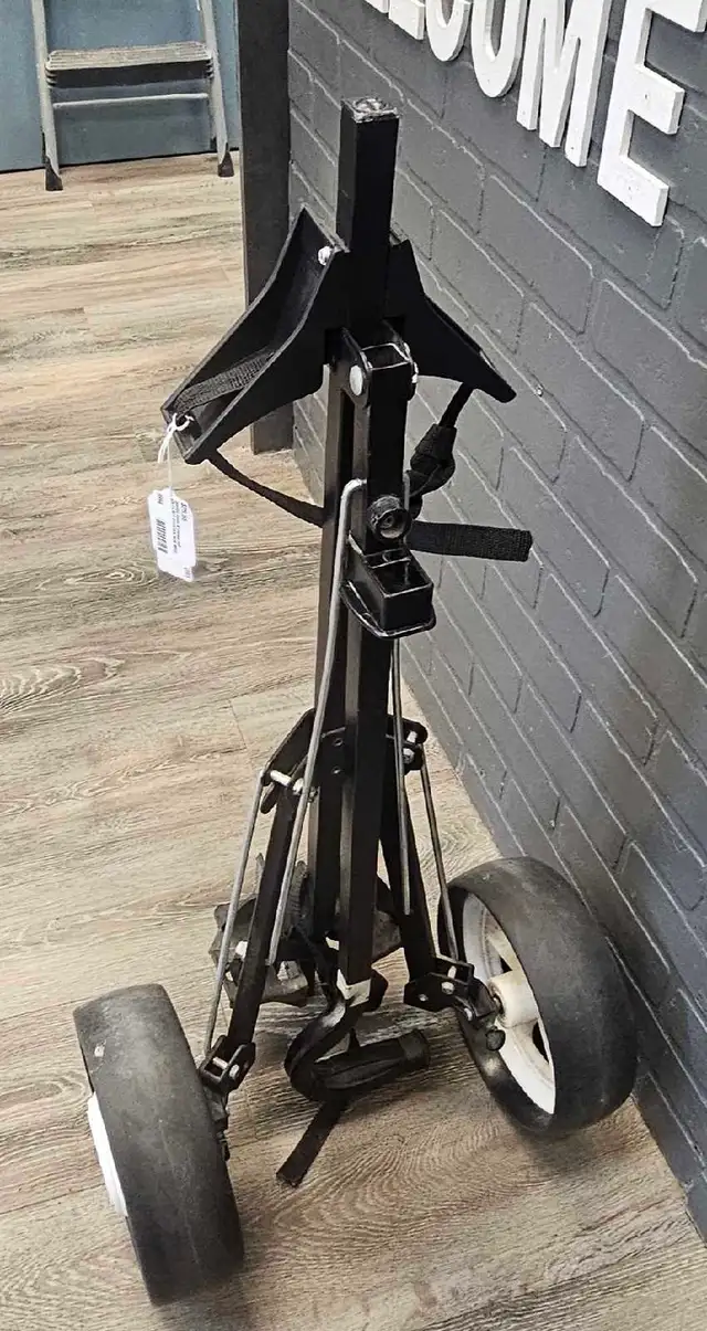 Dynatour Wide Wheel Golf Cart - Photo 3