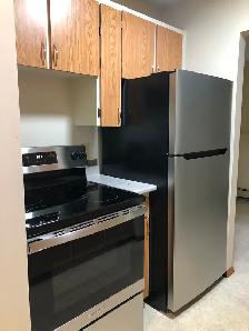 For rent:&nbsp.&nbsp.North Ward, Large 1 bedroom apartment - Photo 3