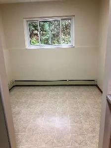 For rent:&nbsp.&nbsp.North Ward, Large 1 bedroom apartment - Photo 6