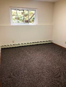 For rent:&nbsp.&nbsp.North Ward, Large 1 bedroom apartment - Photo 7