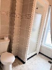 2 bedroom/ LARGE UNIT/ BIG WINDOWS / UPDATED - Photo 15