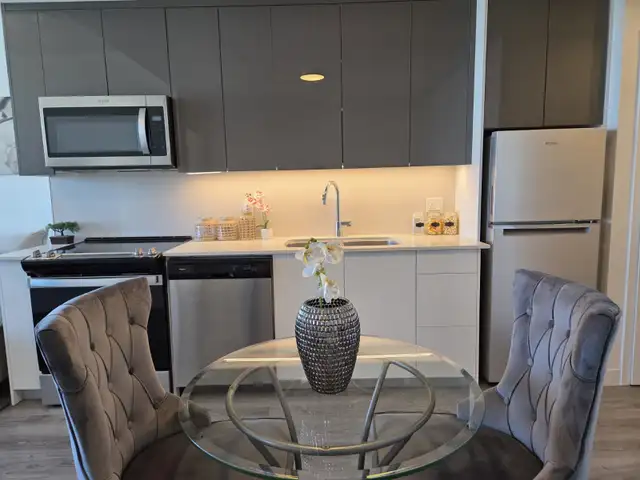 Fully Furnished One Bedroom Apartment in Downtown Kitchener - Photo 5