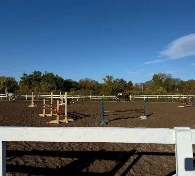 Horse Boarding - Photo 2
