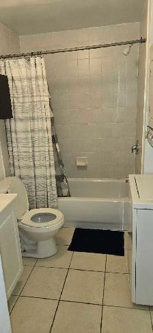 ONE BEDROOM BASEMENT APT FOR RENT - Photo 7