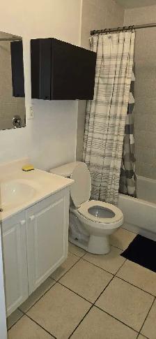 ONE BEDROOM BASEMENT APT FOR RENT - Photo 8
