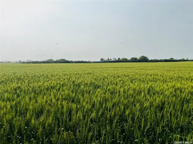 3 Quarters | RM of Enniskillen # 3 | Near North Portal, SK - Photo 6