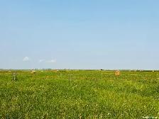 3 Quarters | RM of Enniskillen # 3 | Near North Portal, SK - Photo 7