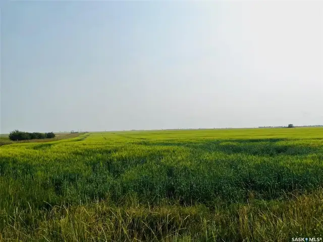 3 Quarters | RM of Enniskillen # 3 | Near North Portal, SK - Photo 8
