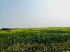 3 Quarters | RM of Enniskillen # 3 | Near North Portal, SK - Photo 8