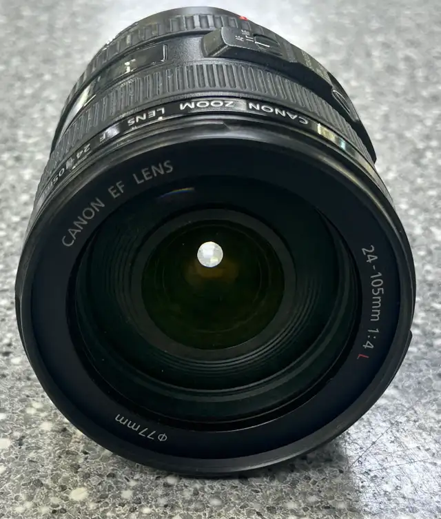 Canon 24-105mm EF Lens - Photo 4