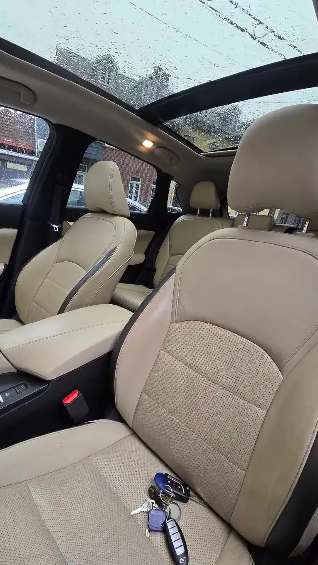 Infiniti QX50 LUXE - Photo 6