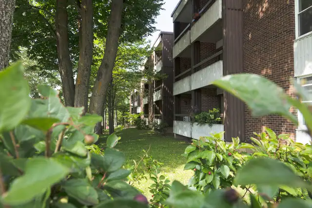 5 1/2 Ste-Foy - Tout inclus - près du cégep Garneau - 1er août - Photo 4