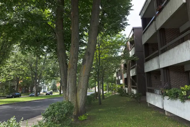 5 1/2 Ste-Foy - Tout inclus - près du cégep Garneau - 1er août - Photo 8