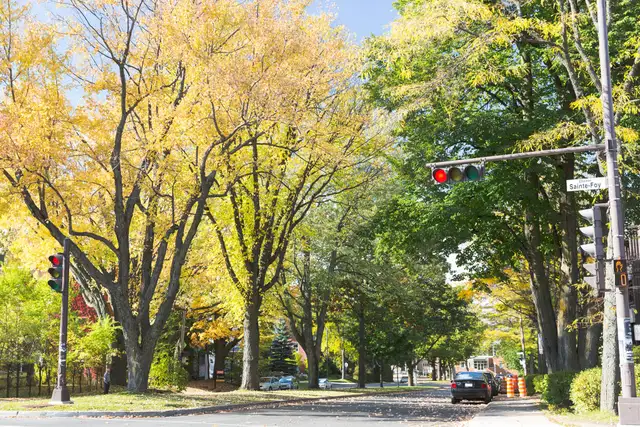 5 1/2 Ste-Foy - Tout inclus - près du cégep Garneau - 1er août - Photo 9