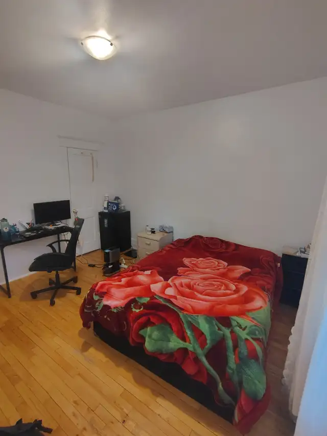 Appartement de 5½ à louer à Mile End/ 5½ apartment  in Mile End - Photo 4
