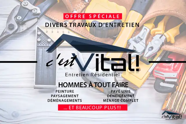 Homme à tout faire/décoration/Clé en main avec plusieurs service