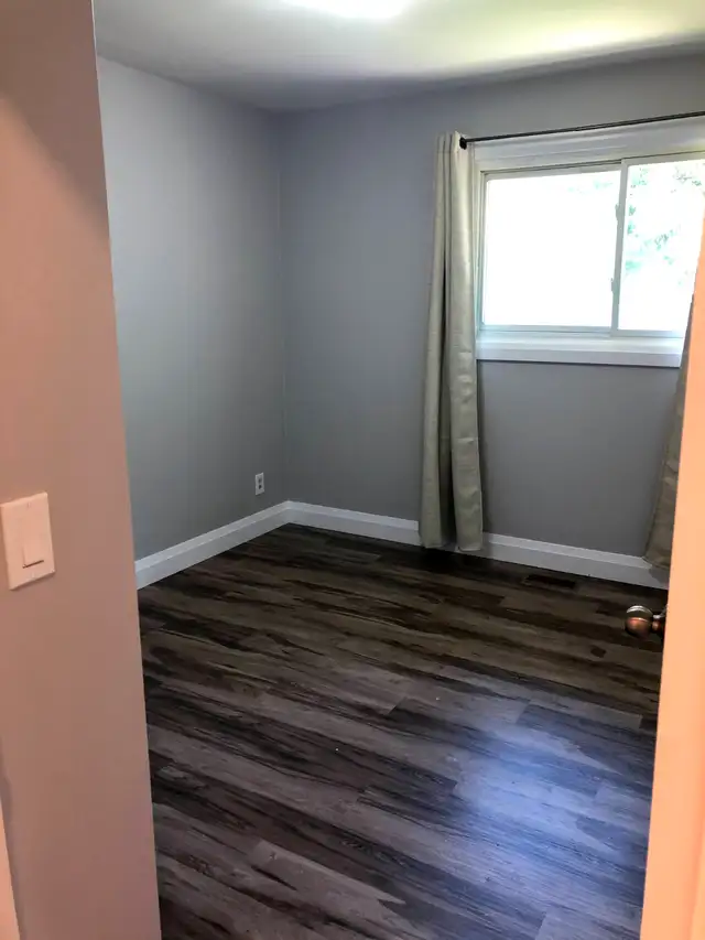 3 Bed 1 Bath House in Guelph - Photo 4