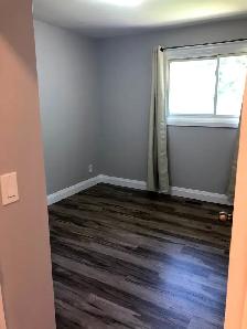 3 Bed 1 Bath House in Guelph - Photo 4