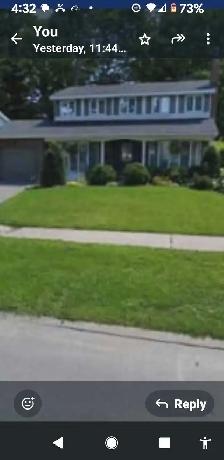 Yard Work 4 Cash!