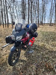 Trail Clearing