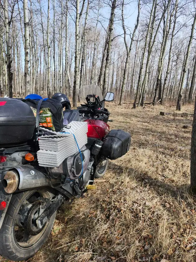 Trail Clearing - Photo 3