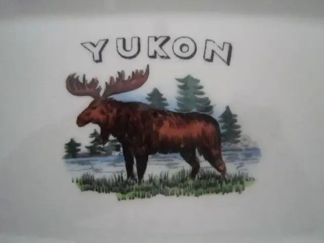Queen Anne YUKON fine bone china set, Pattern # 6997 - Photo 2