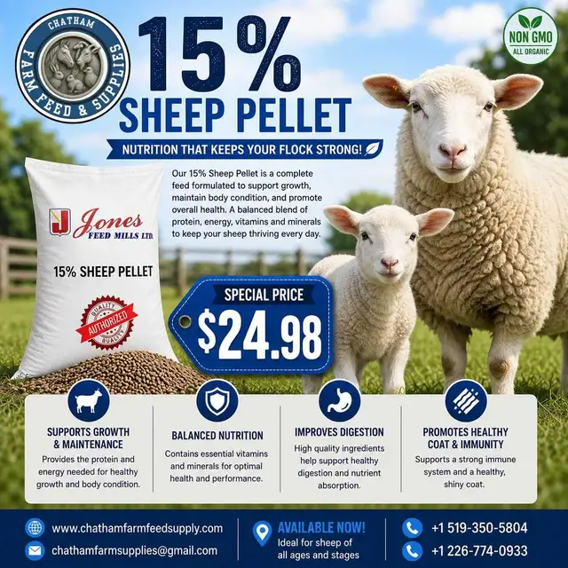 15% Sheep pellets