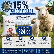 15% Sheep pellets
