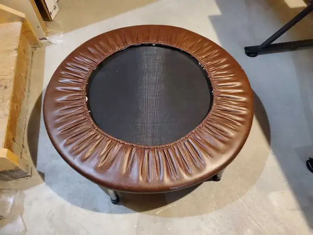 Rebounder Exerciser