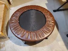 Rebounder Exerciser
